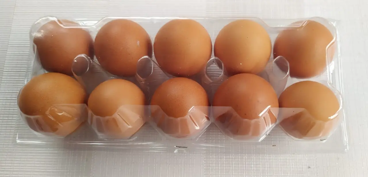 Telur Ayam isi 10 Butir