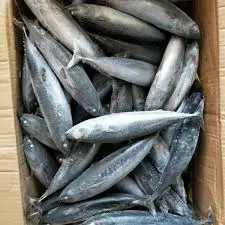 FROZEN IKAN LAYANG