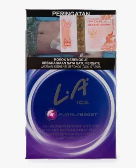 [1962] LA ROKOK FILTER ICE PURPLE BOOST BKS 16'S