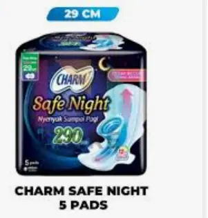 [463] CHARM SAFE NIGHT 5 PAD WING PCK 290mm