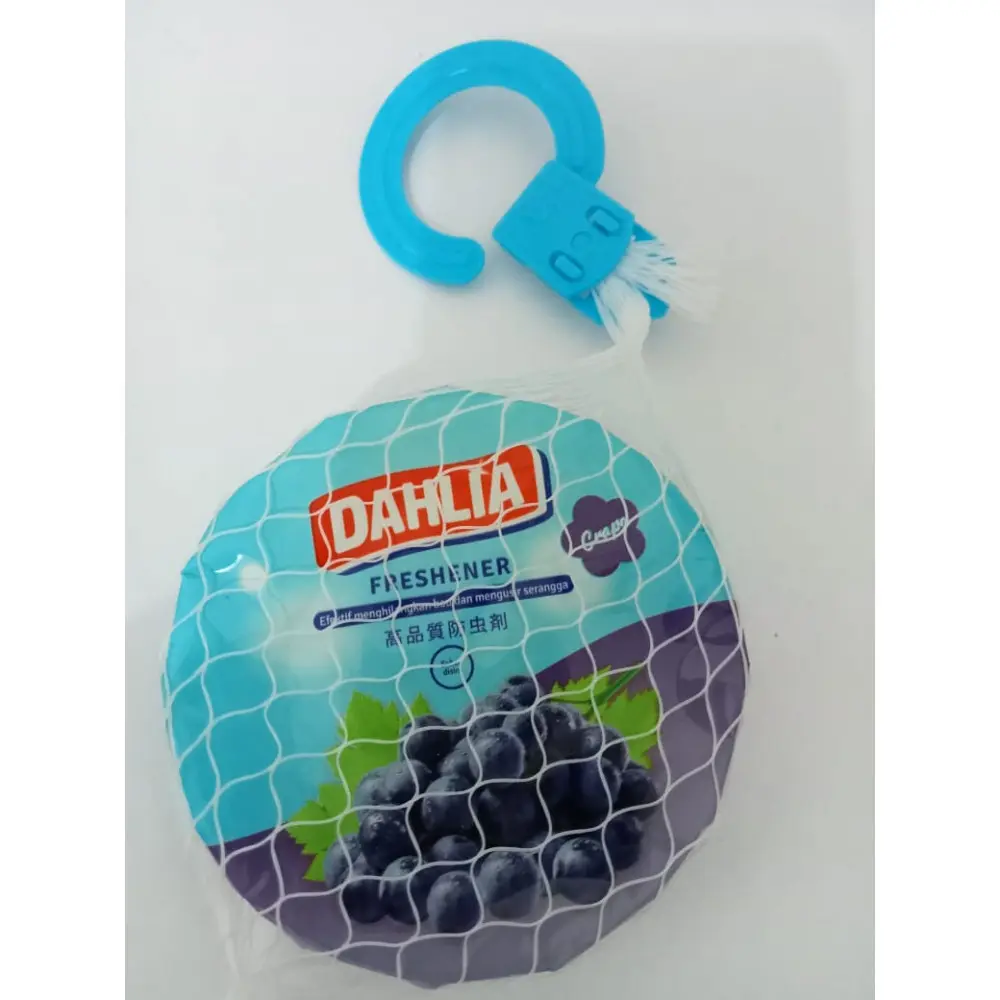 DAHLIA K24 FRUITY GANTUNG GRAPE