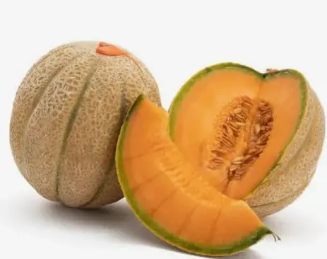 Buah Melon